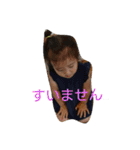 Every day is a happy day！！（個別スタンプ：3）