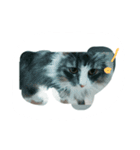 猫の気持ち。（個別スタンプ：4）