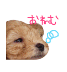 そうたん。（個別スタンプ：1）