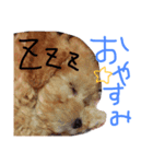 そうたん。（個別スタンプ：2）