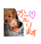 そうたん。（個別スタンプ：3）