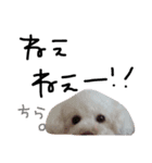 そうたん。（個別スタンプ：6）