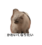 強面マック（個別スタンプ：3）