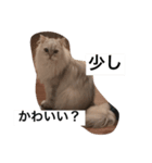 強面マック（個別スタンプ：4）
