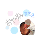 ゆうたんふうたん2（個別スタンプ：19）