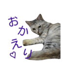おてんば猫＊りん（個別スタンプ：4）
