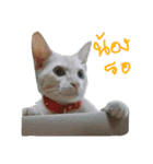 CatDogEw（個別スタンプ：2）