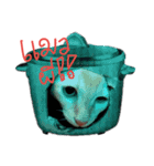 CatDogEw（個別スタンプ：3）