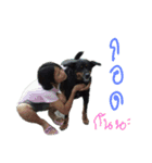 CatDogEw（個別スタンプ：14）
