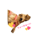 短足部♡ミニチュアダックス（個別スタンプ：19）