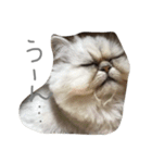ペコと一緒（個別スタンプ：4）