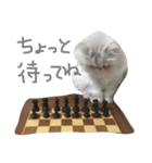 ペコと一緒（個別スタンプ：13）