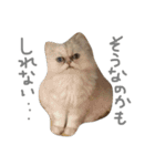 ペコと一緒（個別スタンプ：17）