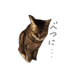 ペコと一緒（個別スタンプ：19）