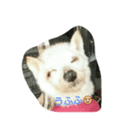 ぺろさん（個別スタンプ：3）
