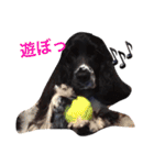 ぷぅちゃんスタンプ！（個別スタンプ：5）