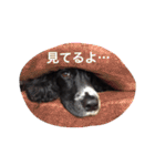 ぷぅちゃんスタンプ！（個別スタンプ：7）