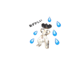 ぷぅちゃんスタンプ！（個別スタンプ：21）