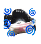 ぷぅちゃんスタンプ！（個別スタンプ：24）