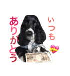 ぷぅちゃんスタンプ！（個別スタンプ：28）