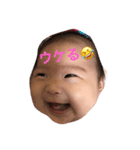 毎日ももちゃん（個別スタンプ：1）
