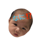 毎日ももちゃん（個別スタンプ：6）