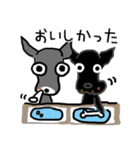 イタリアングレイハウンド チモ＆モナ（個別スタンプ：8）