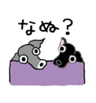 イタリアングレイハウンド チモ＆モナ（個別スタンプ：33）