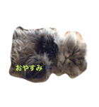 ララ好き（個別スタンプ：4）