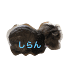 ララ好き（個別スタンプ：5）