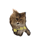 ララ好き（個別スタンプ：7）