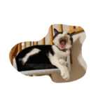 good - night（個別スタンプ：1）