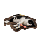 good - night（個別スタンプ：5）