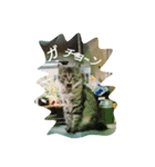 nekotomo（個別スタンプ：6）