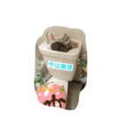 nekotomo（個別スタンプ：11）