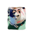 nekotomo（個別スタンプ：16）