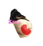 dog！！！！！（個別スタンプ：16）