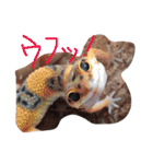 トカゲ2（個別スタンプ：3）