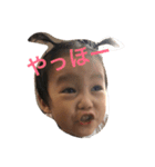 kaitotaiga（個別スタンプ：1）