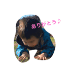 kaitotaiga（個別スタンプ：4）