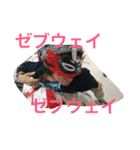 プラゼブ（個別スタンプ：9）