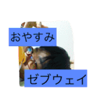 プラゼブ（個別スタンプ：11）