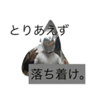 プラゼブ（個別スタンプ：12）