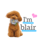 blair01（個別スタンプ：1）