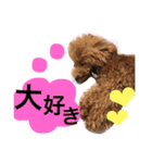 blair01（個別スタンプ：11）