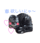 ぶるちゃんの日常（個別スタンプ：5）