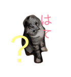 ぶるちゃんの日常（個別スタンプ：10）