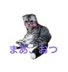 ぶるちゃんの日常（個別スタンプ：14）