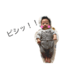 kote LIFE（個別スタンプ：11）