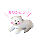 nachi＆futaro.kento（個別スタンプ：2）